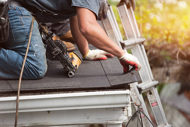 Best Roof Leak Repair  in Pierce City, MO